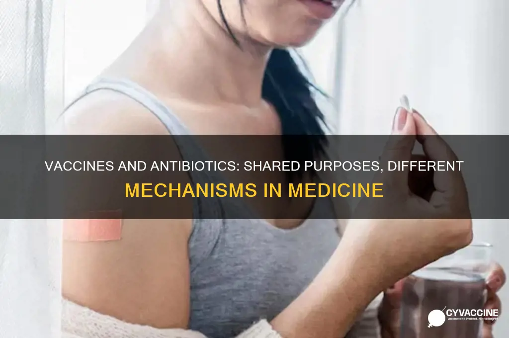 what is the same about vaccines and antibiotics