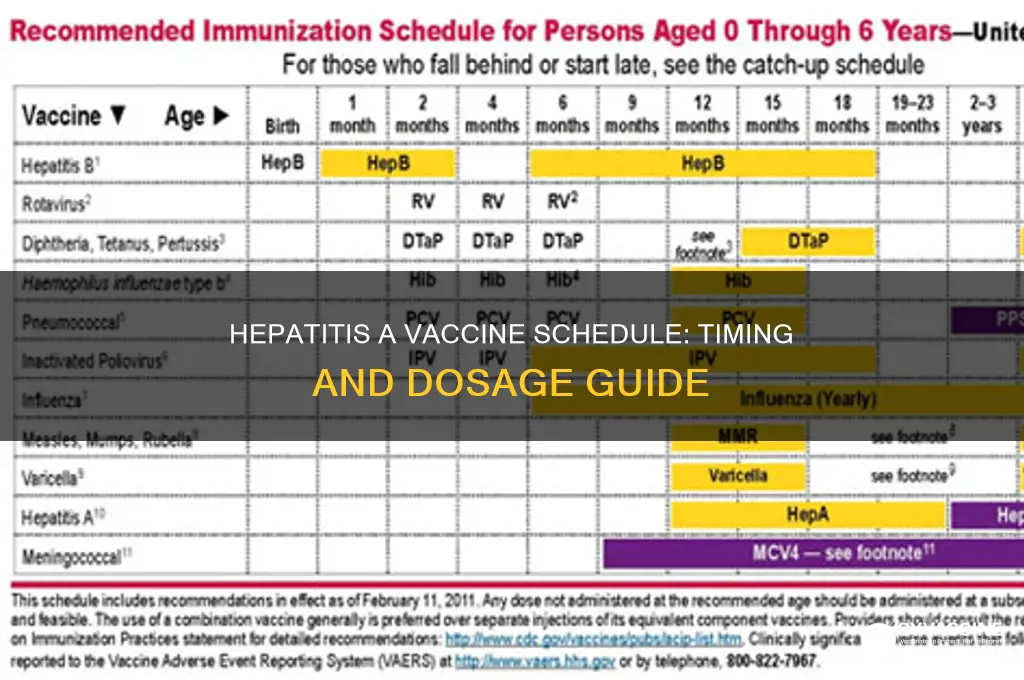 what is the schedule for hepatitis a vaccine