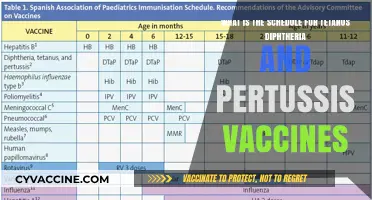 Tetanus, Diphtheria, Pertussis Vaccines: Essential Scheduling Guide