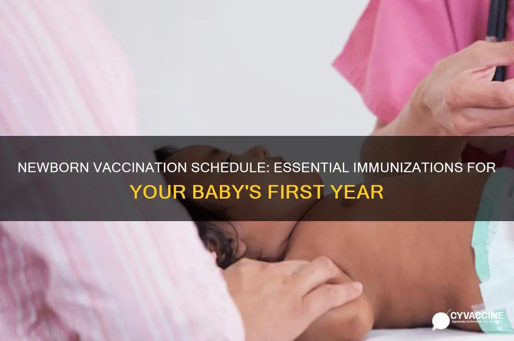 what is the schedule for vaccinations of newborns