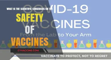 Vaccine Safety: Uncovering the Scientific Consensus and Evidence-Based Truth
