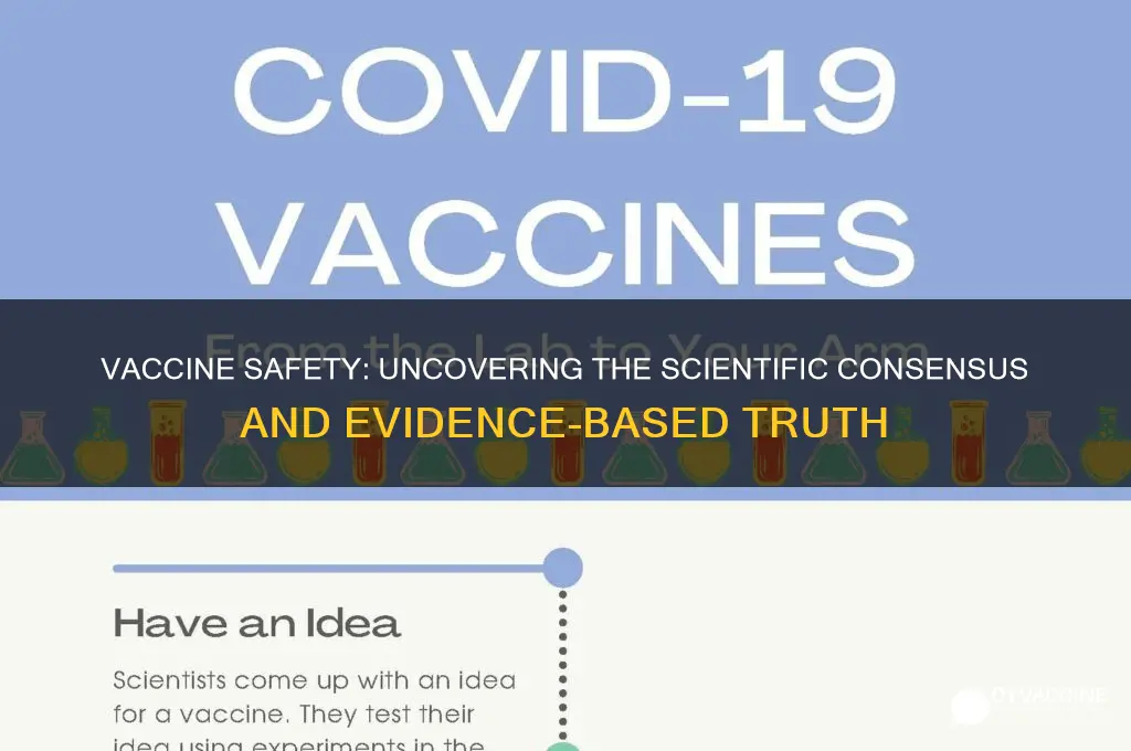 what is the scientific consensus on the safety of vaccines