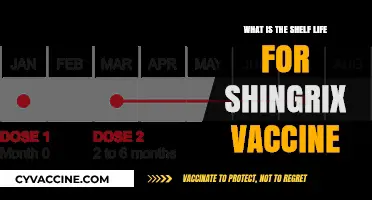 Understanding Shingrix Vaccine Shelf Life: Storage, Expiry, and Effectiveness