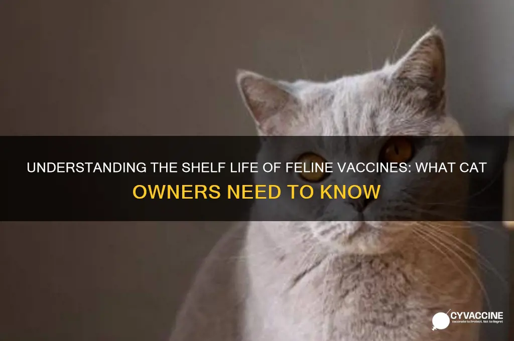 what is the shelf life of feline vaccine