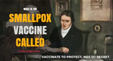 Understanding the Smallpox Vaccine: Its Name and Historical Significance