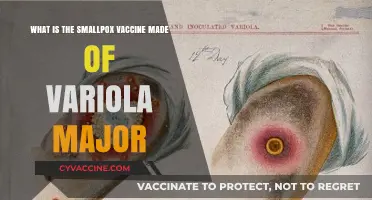 Understanding the Smallpox Vaccine: Variola Major's Role Explained