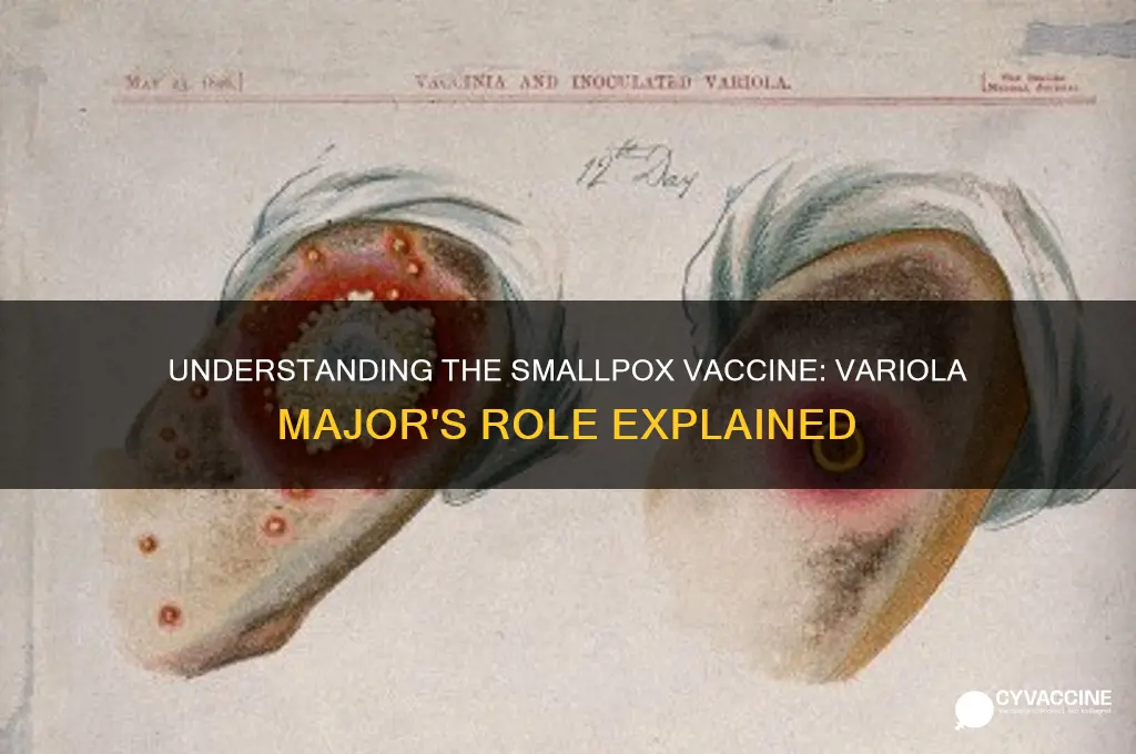 what is the smallpox vaccine made of variola major