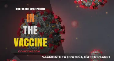 Understanding the Spike Protein: Key Component in COVID-19 Vaccines Explained