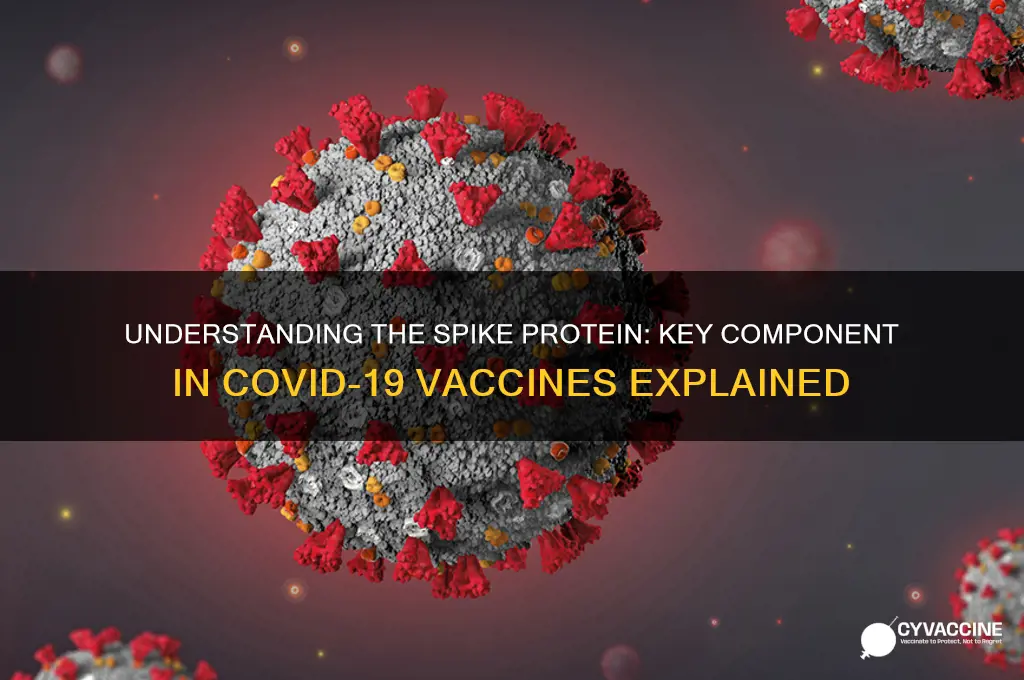 what is the spike protein in the vaccine