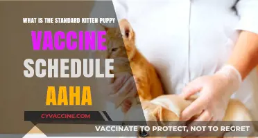 AAHA Kitten Puppy Vaccine Schedule: Essential Guide for Pet Owners