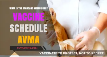 AVMA-Recommended Kitten Puppy Vaccine Schedule: Essential Guide for Pet Owners