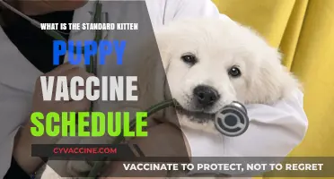 Essential Kitten Puppy Vaccine Schedule: Protecting Your Pets' Health