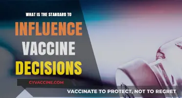 Understanding the Key Standards Shaping Global Vaccine Decision-Making Processes