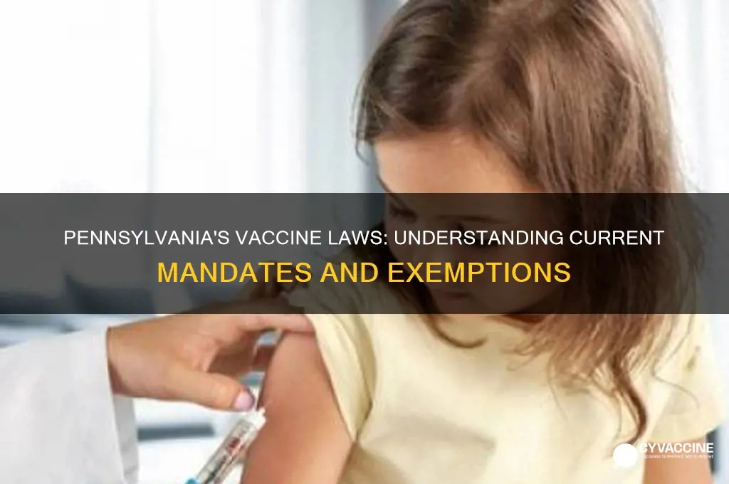 what is the state of pennsylvania law on vaccines