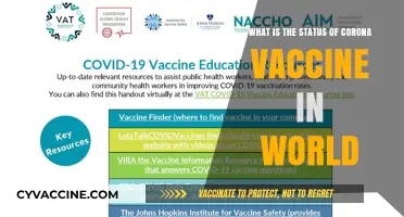 Global COVID-19 Vaccine Rollout: Progress, Challenges, and Future Outlook
