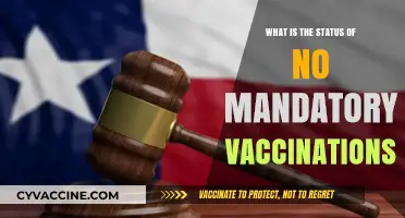 No Mandatory Vaccinations: Current Status and Global Perspectives