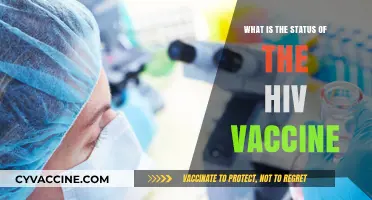 HIV Vaccine Progress: Current Status, Challenges, and Future Prospects