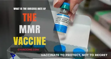 MMR Vaccine Success Rate: Effectiveness and Impact on Public Health