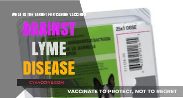 Canine Lyme Disease Vaccines: Understanding the Target and Protection Goals
