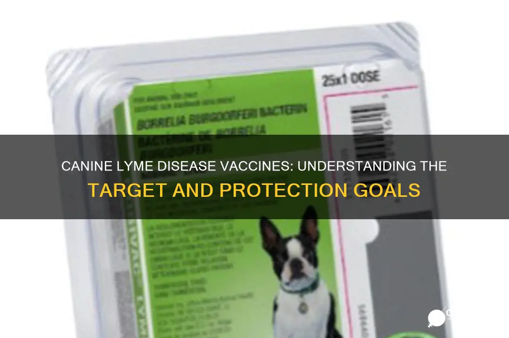 what is the target for canine vaccines against lyme disease