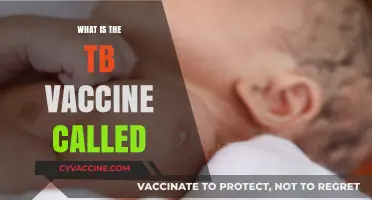 Understanding the TB Vaccine: What is the BCG Shot Called?