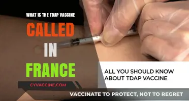Understanding France's Tdap Vaccine: Name, Availability, and Importance