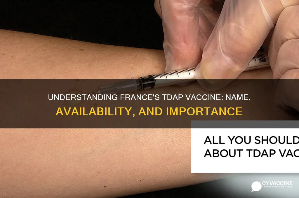 what is the tdap vaccine called in france