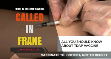 Understanding France's Tdap Vaccine: Name, Purpose, and Importance Explained