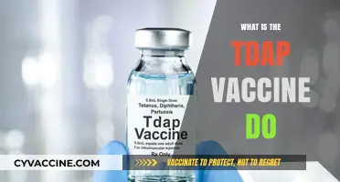 Understanding the Tdap Vaccine: Uses, Benefits, and Importance Explained