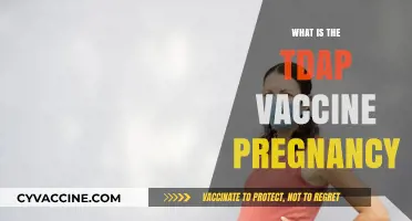 Tdap Vaccine in Pregnancy: Benefits, Safety, and Importance Explained