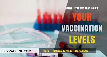 Understanding Your Immunity: The Test Revealing Vaccination Antibody Levels