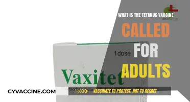 Understanding the Adult Tetanus Vaccine: Name, Purpose, and Importance