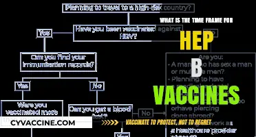 Understanding the Optimal Time Frame for Hepatitis B Vaccinations