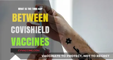 Understanding the Recommended Time Interval Between Covishield Vaccine Doses