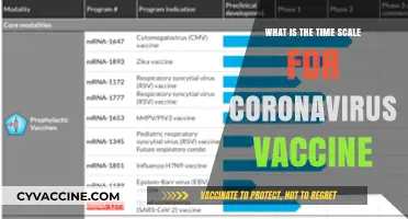 Understanding the Timeline for Developing a Coronavirus Vaccine