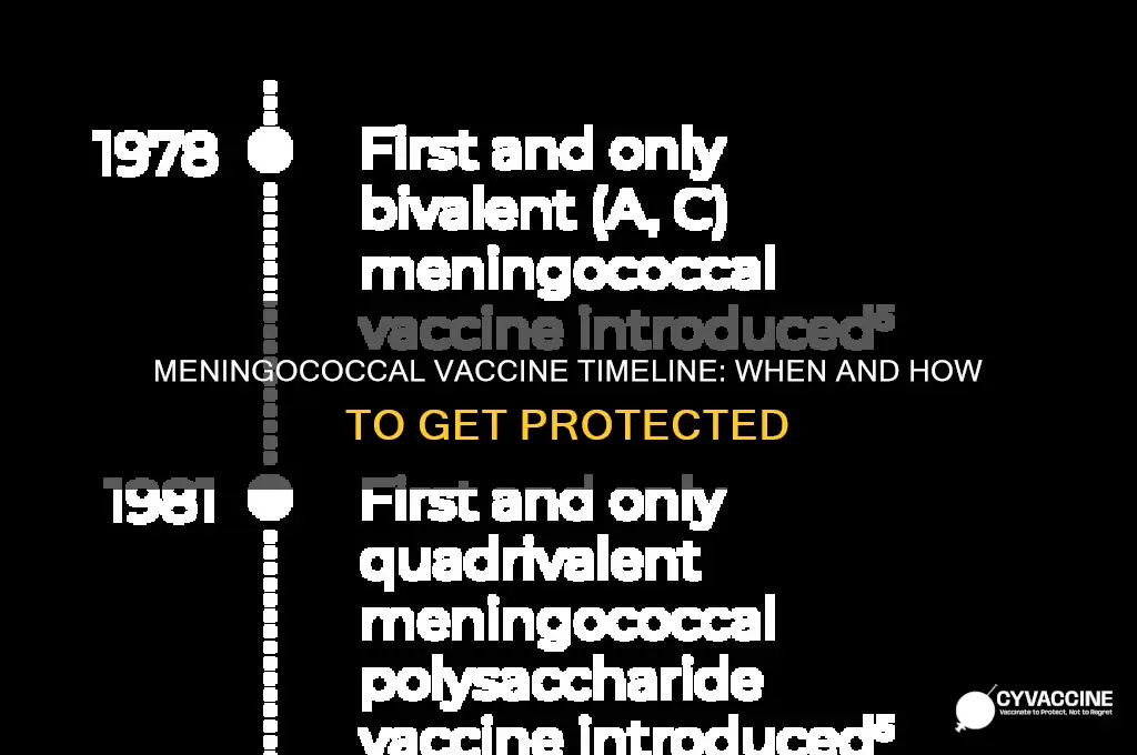 what is the timeline for the meningococcal vaccine