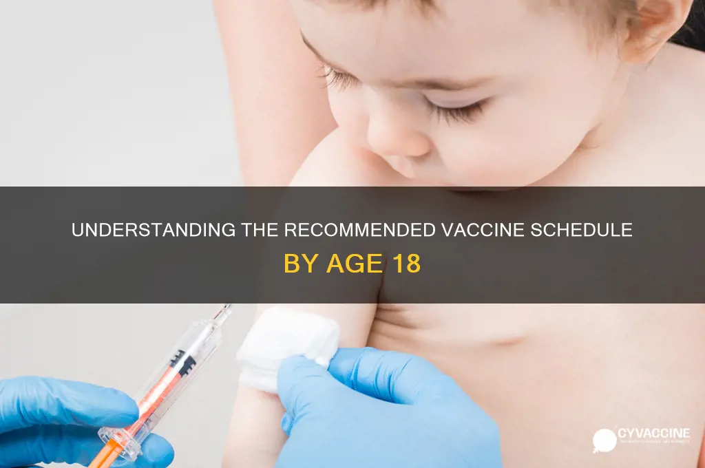 what is the total number of vaccines by age 18