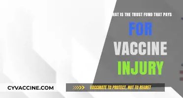 Understanding the Trust Fund for Vaccine Injury Compensation