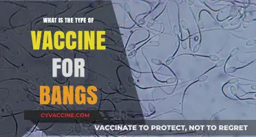 Understanding Bangs Vaccines: Types, Benefits, and Administration Explained