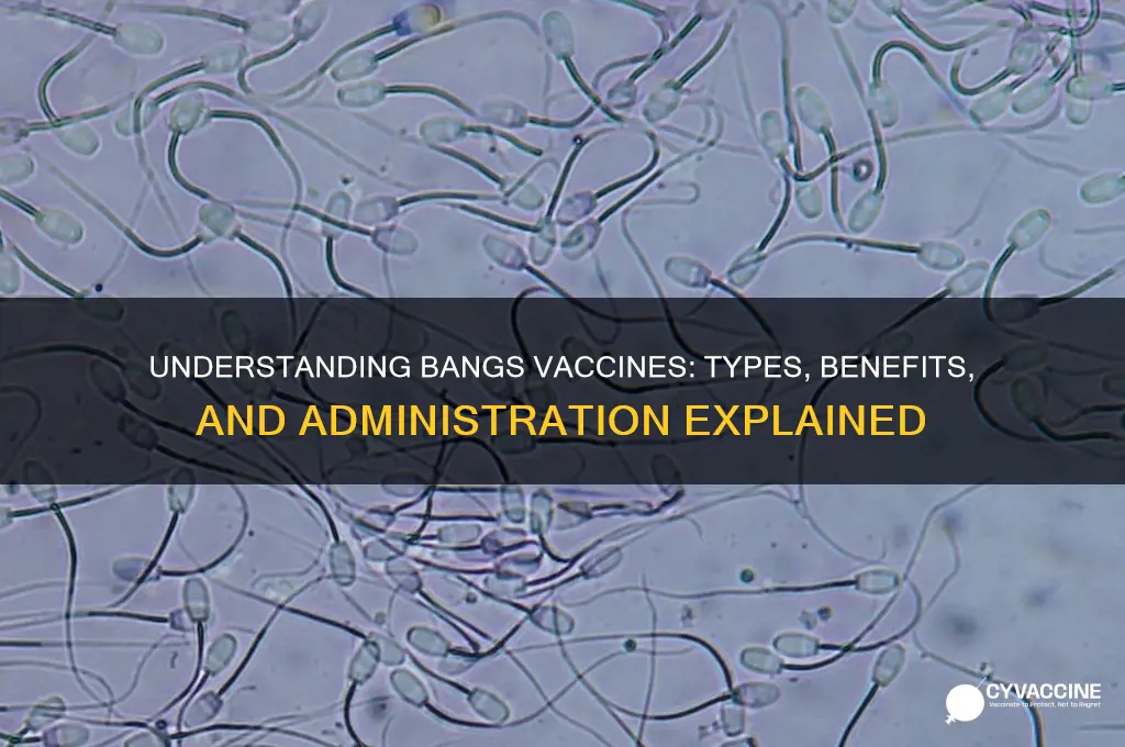 what is the type of vaccine for bangs