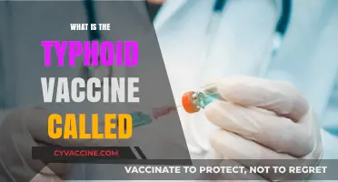 Understanding Typhoid Vaccines: Names, Types, and Protection Explained