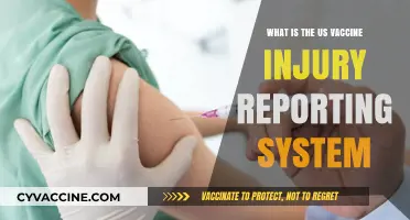 Understanding the US Vaccine Injury Reporting System: Purpose and Process