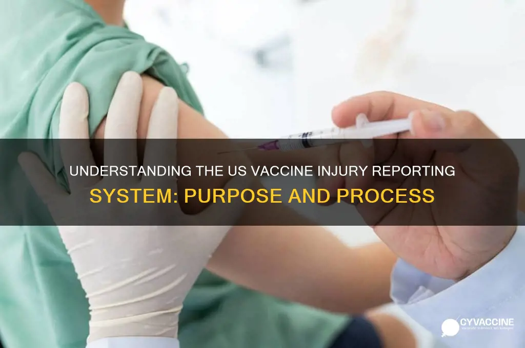 what is the us vaccine injury reporting system