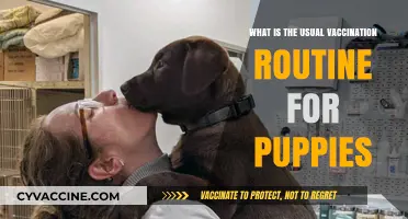 Essential Puppy Vaccination Schedule: A Complete Guide for New Owners