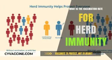 Achieving Herd Immunity: Understanding Global Vaccination Rates and Thresholds