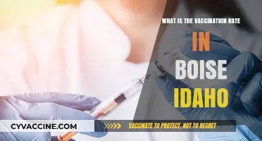 Boise, Idaho's Vaccination Rate: Current Stats and Community Impact