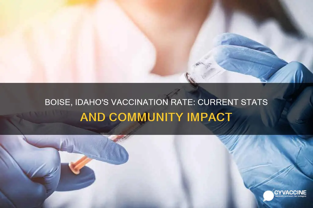 what is the vaccination rate in boise idaho