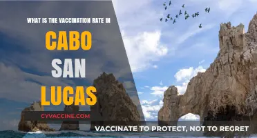 Cabo San Lucas Vaccination Rate: Current Stats and Insights
