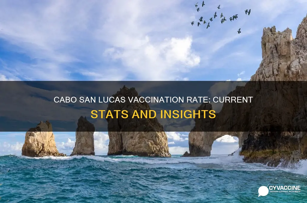 what is the vaccination rate in cabo san lucas
