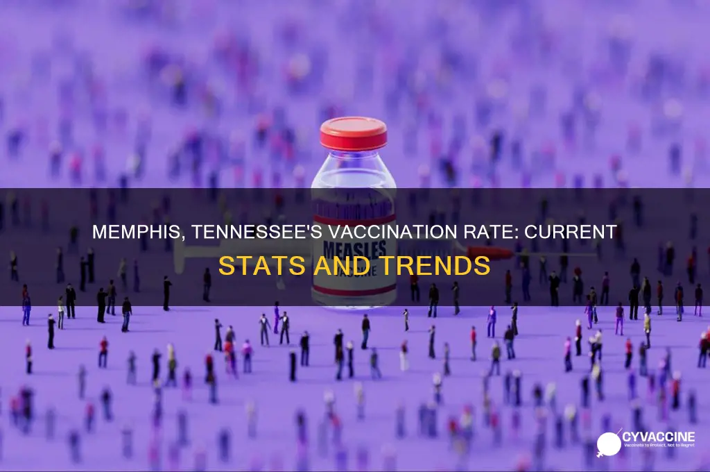 what is the vaccination rate in memphis tennessee